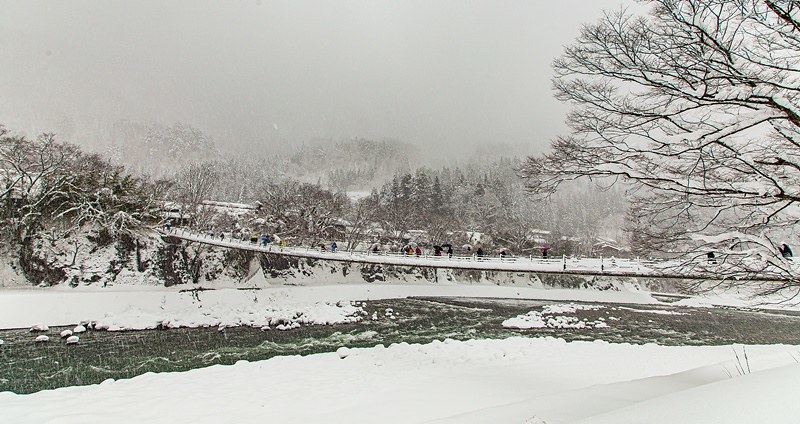 20160120-20160120-IMG_9545