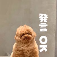 【スパファン】むぎっこ🧸💫