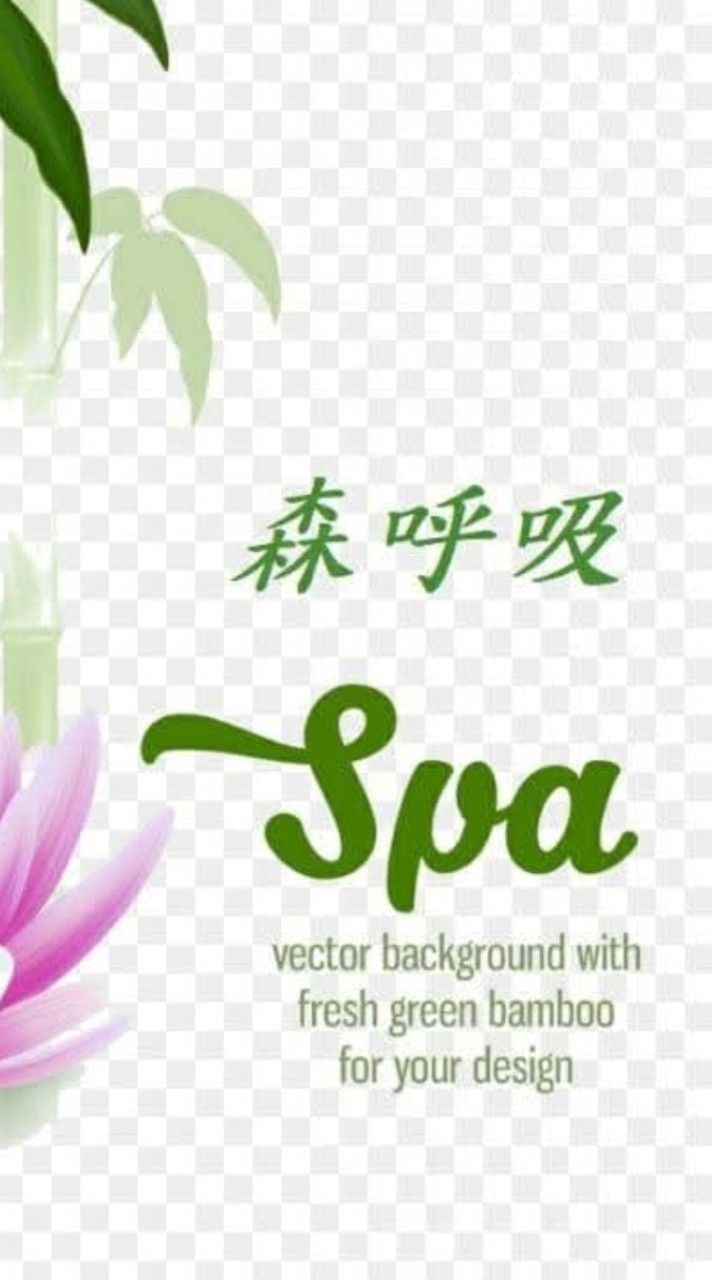 森呼吸女子經絡SPA精油按摩工作室