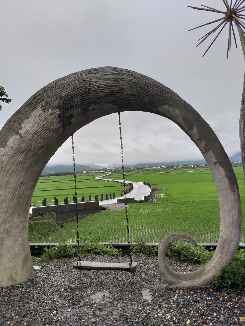 美麗的池上伯朗大道吸引不少網美來此拍照打卡(圖片提供/Man_Tang Huang)