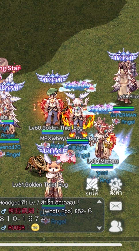 กลุ่มกิล Angel