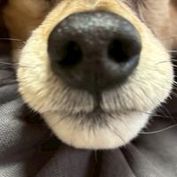 ばーばと孫の集まり場