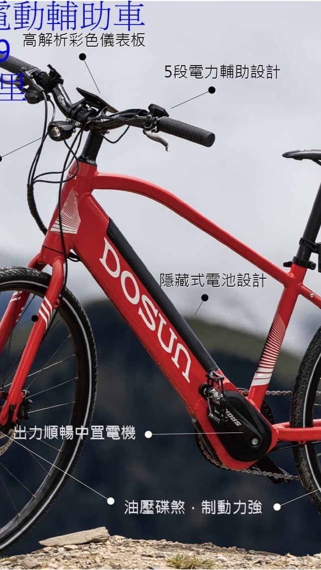 Dosun 電動輔助車