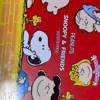 光明114中綠班