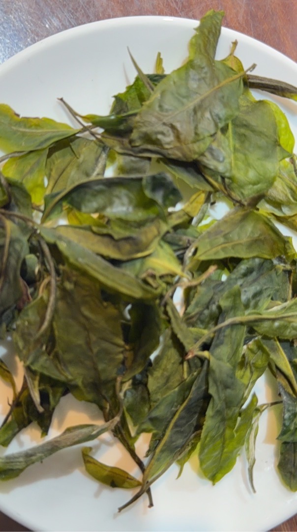 優良茶比賽