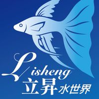 立昇水世界～純種孔雀魚～藍眼大帆，鬍子，24k大帆，鬍子