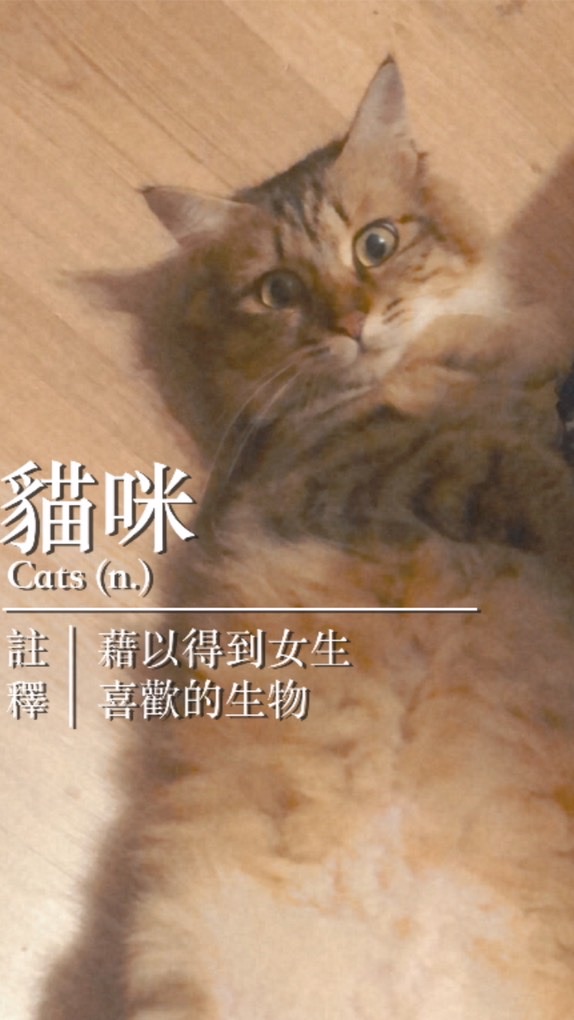 蝦款Love Wins🦐