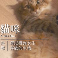 蝦款Love Wins🦐