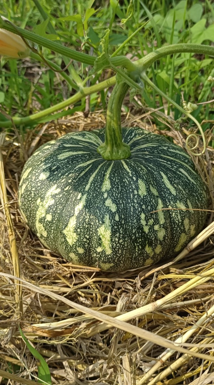 บริหารจนดี2