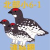 R8大町北部小6-1PTA連絡網