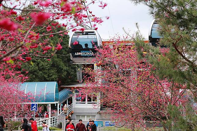 ▲九族文化村（圖片來源：IG @kunhsienchen）