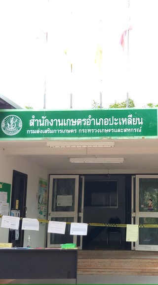 สำนักงานเกษตรอำเภอปะเหลียน