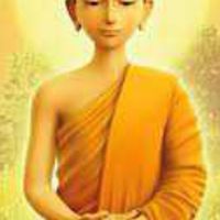 Dhamma 設計者