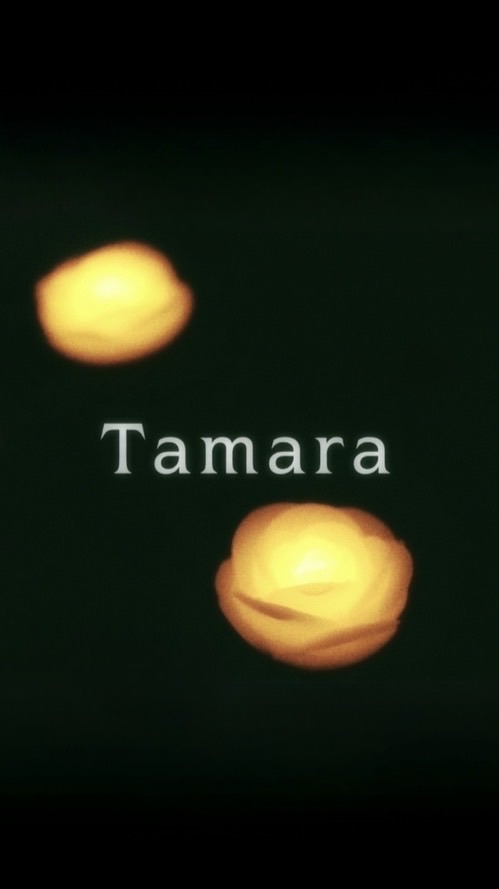Tamara  // キャンセル速報  //