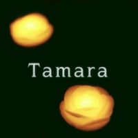 Tamara ⋰⋰キャンセル速報⋰⋰