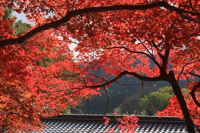 來去日本鄉下住一晚丹波篠山輕旅行 野旅行 Line Today