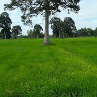 เทคนิคการเกษตร