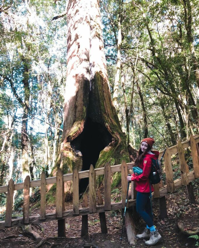 新竹登山步道/鎮西堡/秘境/古道