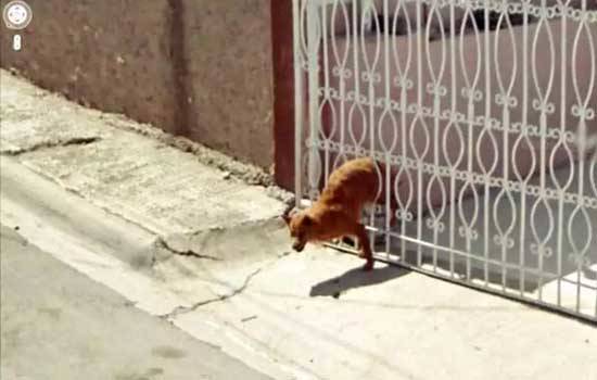 7 Peristiwa Paling Aneh yang Bisa Kamu Temukan di Google Street View