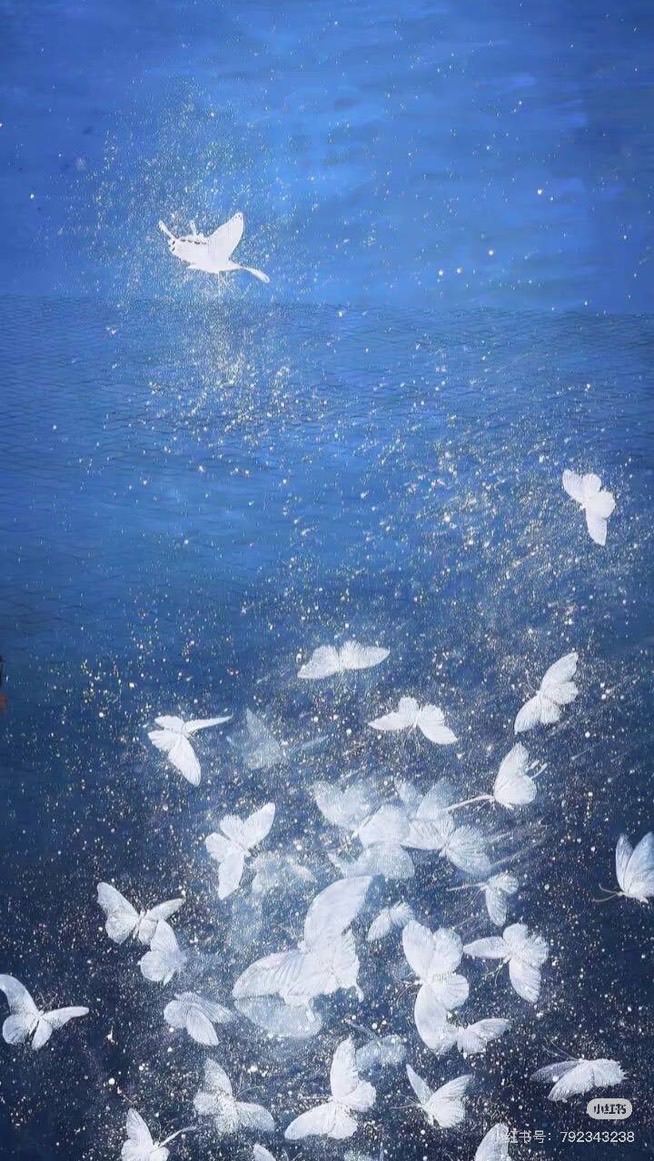 𓍯𓂃⋆. 沄の追星俱樂部ఌ︎