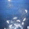 𓍯𓂃⋆. 沄の追星俱樂部ఌ︎