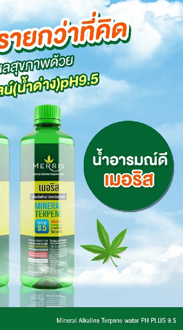 $ Merris น้ำดื่มอารมณ์ดี มีรายได้