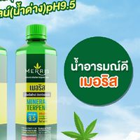 $ Merris น้ำดื่มอารมณ์ดี มีรายได้