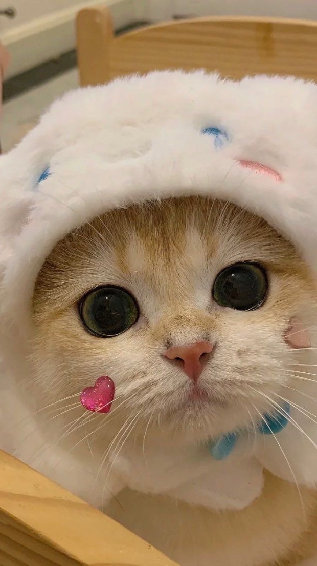 Made My Day 🧸