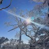 心はの日戀手帳💌