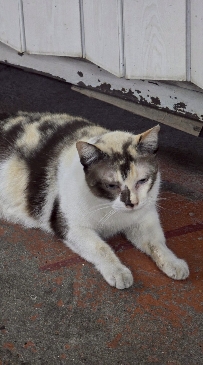 บ้านความทรงจำ