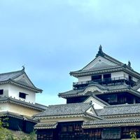 のいずファン