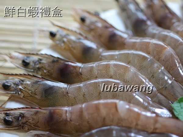 ☆鮮凍白蝦☆禮盒1.15公斤.鮮甜 約69-80隻/年菜 烤肉鍋物