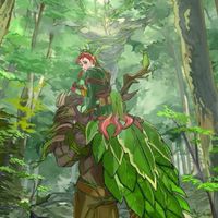 เมือง [Identity V]