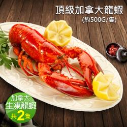 ◎肉質甘甜、低脂、低膽固醇是最大特色!|◎龍蝦鮮紅外殼中的雪白滑嫩龍蝦肉，光看就流口水!|◎龍蝦鮮嫩彈牙 珍貴的美國名產 來自純淨海洋的頂級龍蝦本身帶海鹽 料理時不需調味品牌:築地一番鮮類型:蝦蟹貝類