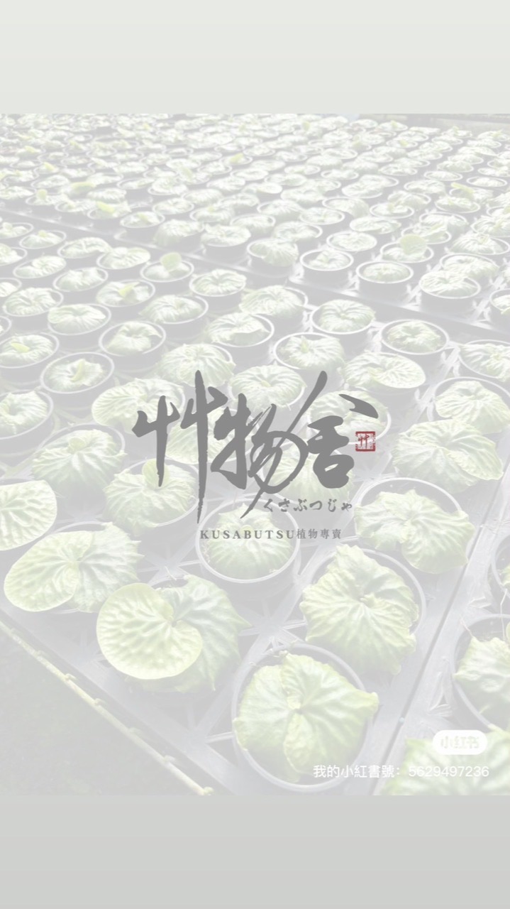 艸物舍選物