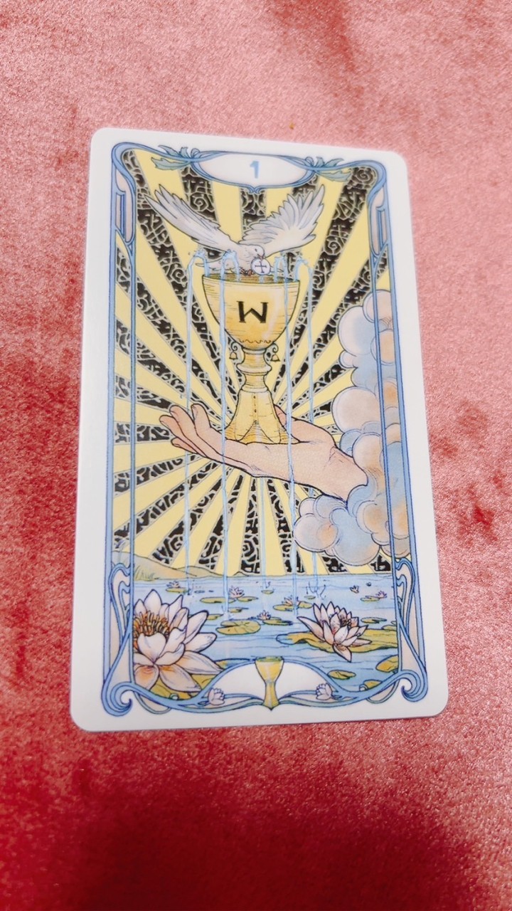 🔰歓迎🔰タロット占い基礎塾🌟