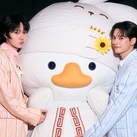 KNP Booster 🦆🐰⭐️