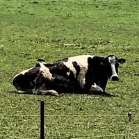北海道ガチ勢就活オプチャ
