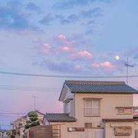 หาบ้าน/บ้านเช่า-คอนโด สวน ที่ดินจันทบุรี 🏡