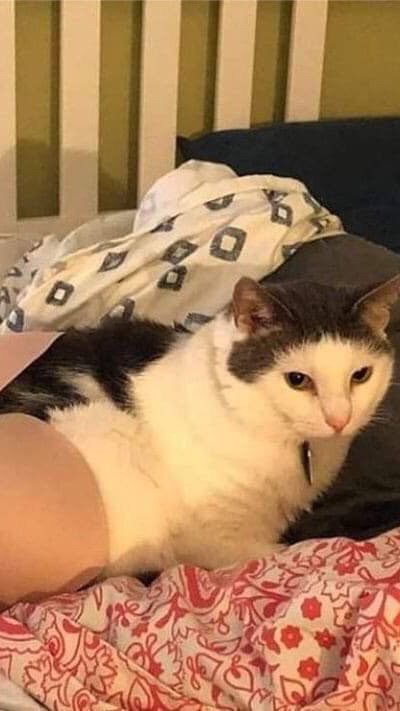จังไร.exe