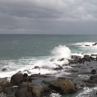 團購/營養補品/保健
