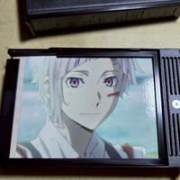 文豪野犬