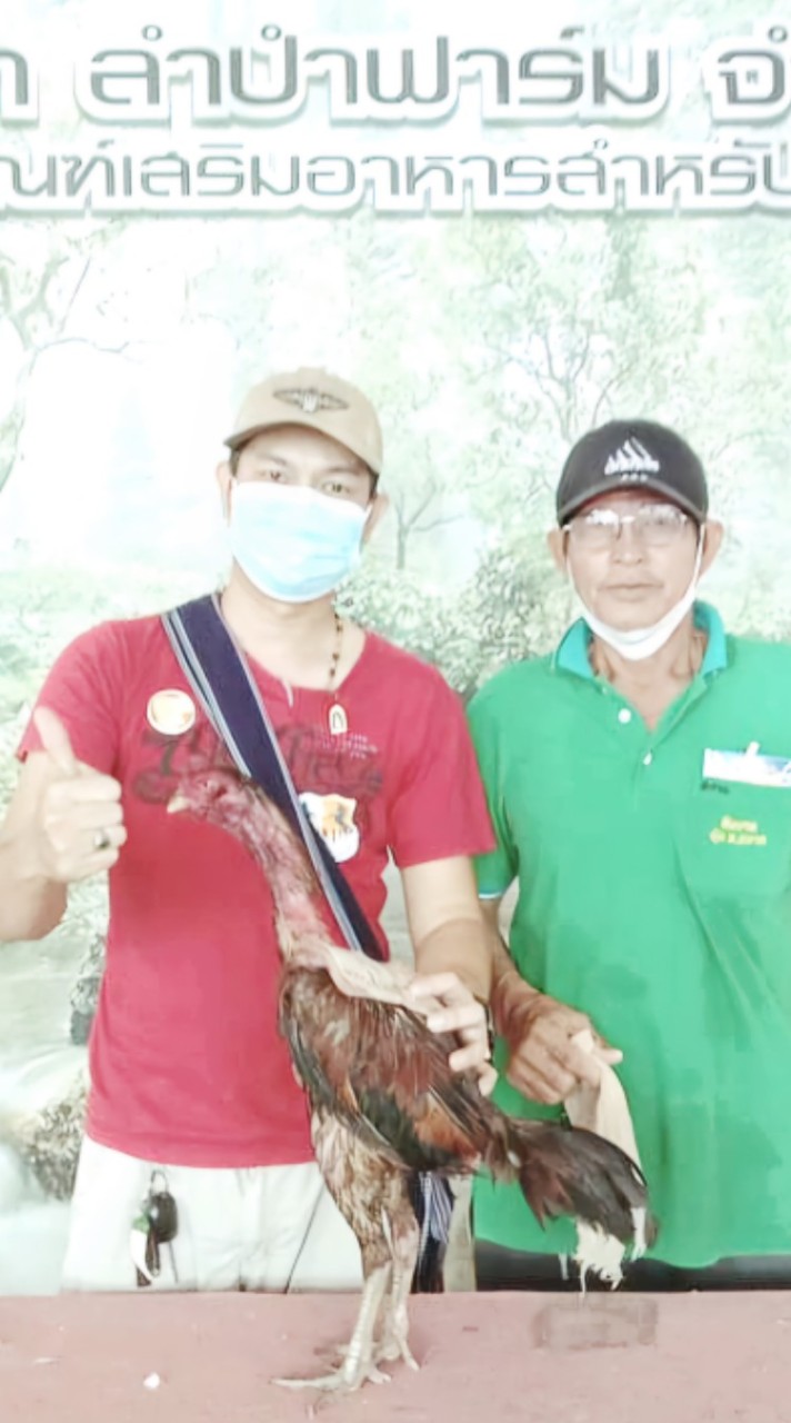 แอลพี มินิฟาร์ม (แม่สอด-ตาก)