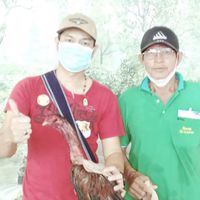 แอลพี มินิฟาร์ม (แม่สอด-ตาก)