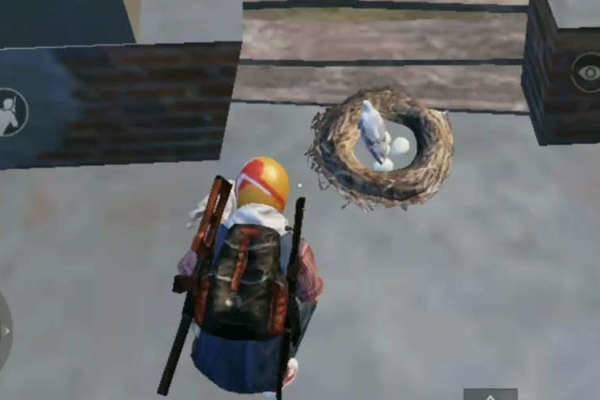 Pubg Mobile 5 Fakta Companion Burung Falcon