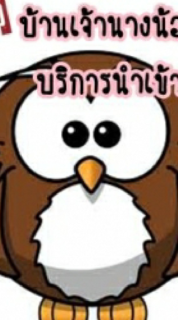 แจ้งโปรโมชั่น บ้านเจ้านางน้อย บริการนำเข้า