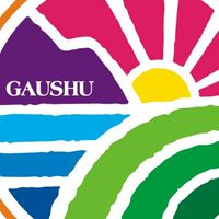 屏東高樹籃球協會