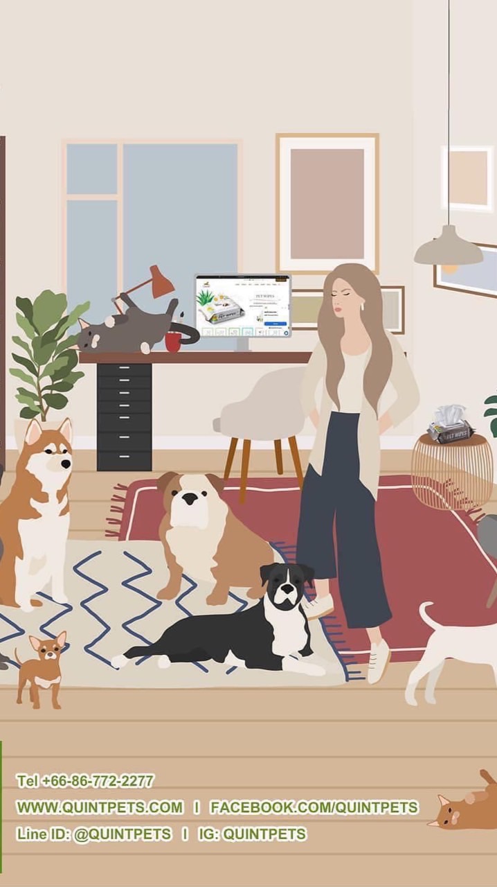 Quint Pets แชมพูสัตว์เลี้ยง