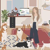 Quint Pets แชมพูสัตว์เลี้ยง