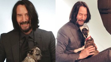 瞬間變暖男！「殺神」基努李維被狗狗包圍 回答粉絲提問「最想當漫威或 DC 哪位超級英雄？」